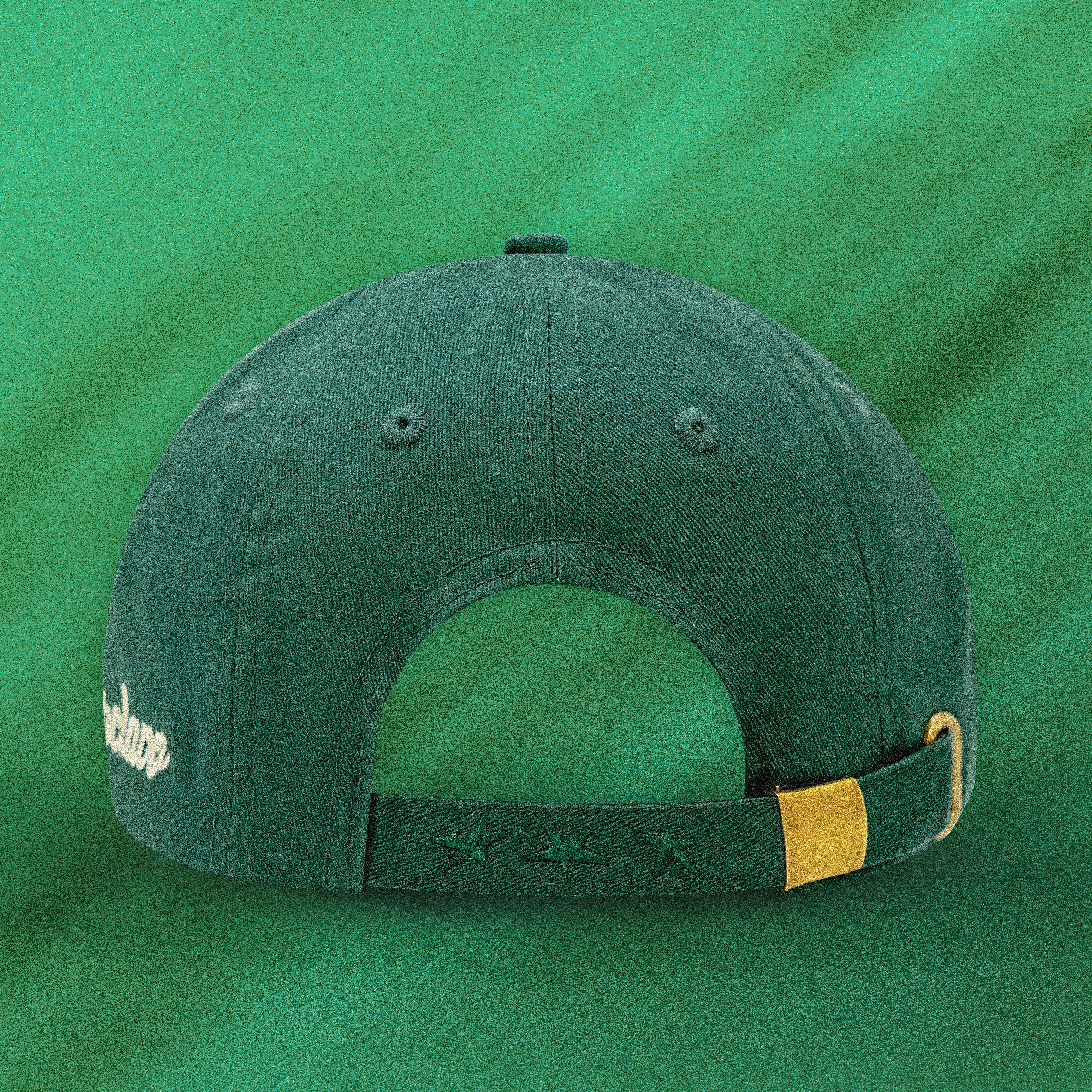 Green Legacy 10 panels Strapback