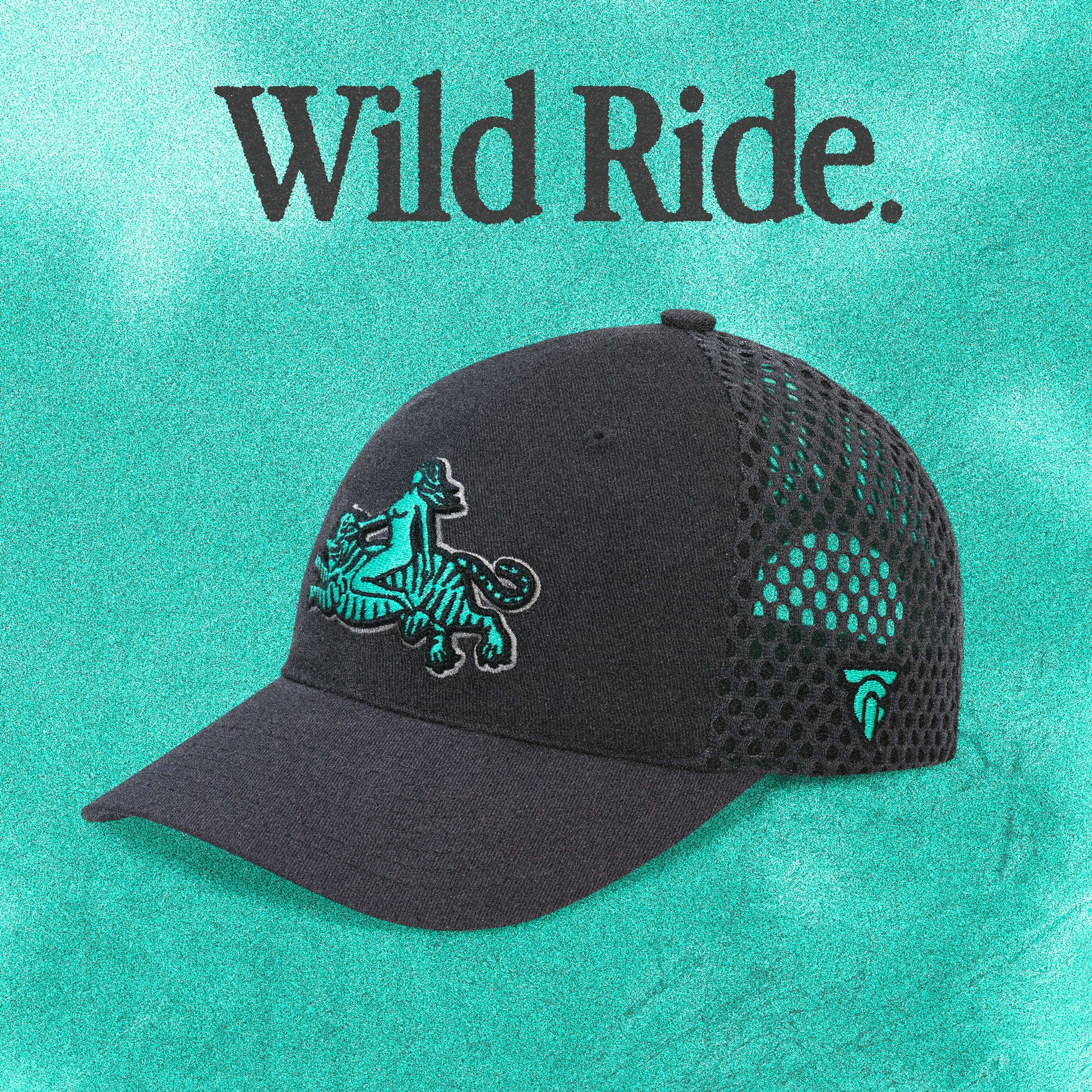 WILD RIDE GREY SNAPBACK