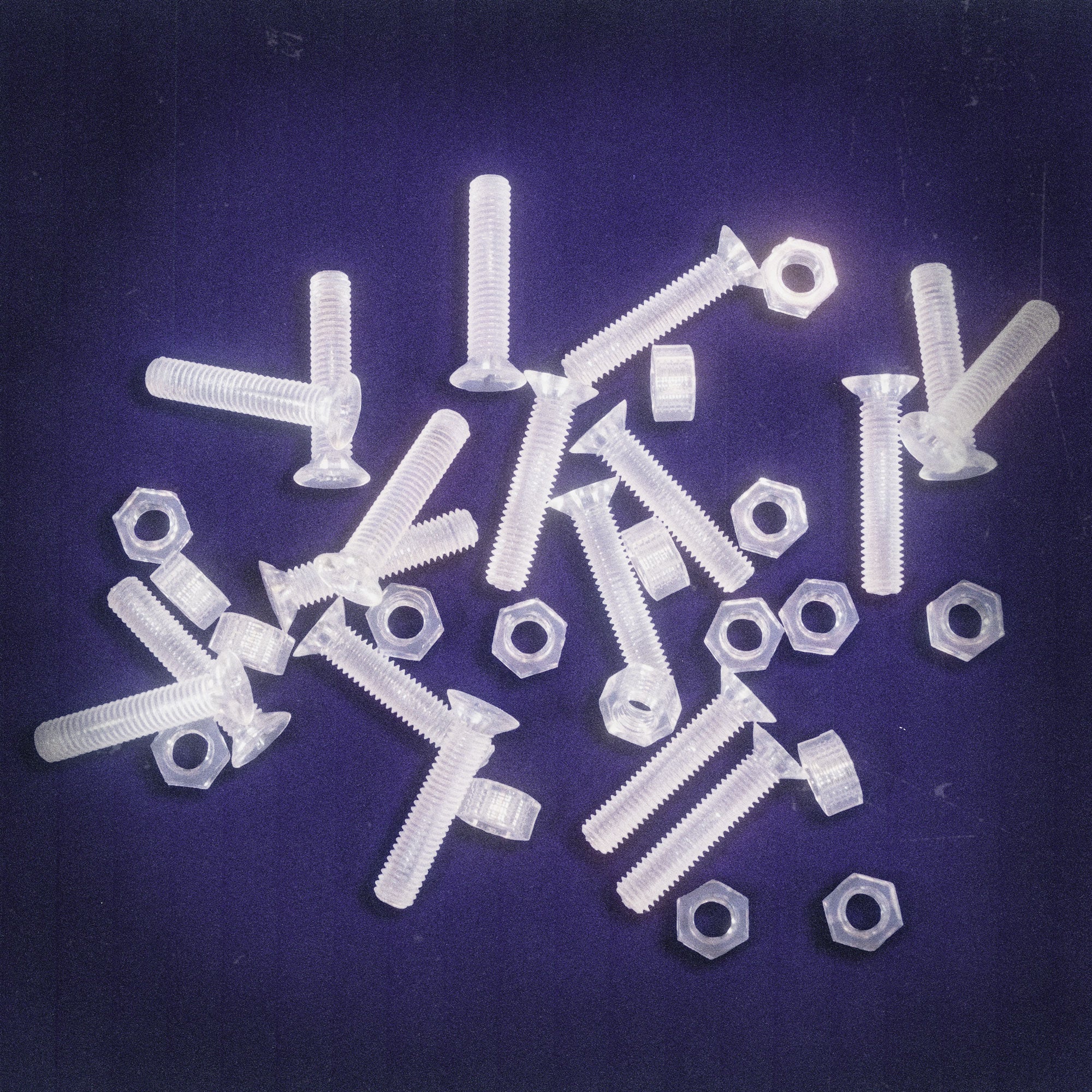 Tigerclaw “Claw” Skateboard Display - 10-Pack